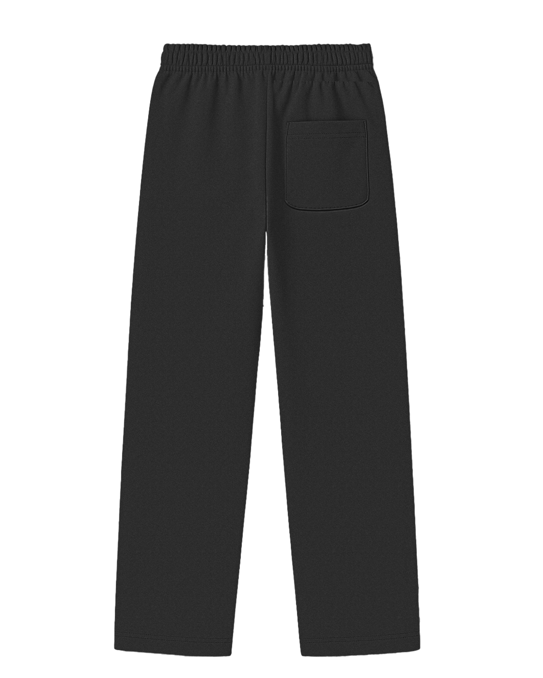 Neo Baggy Pants